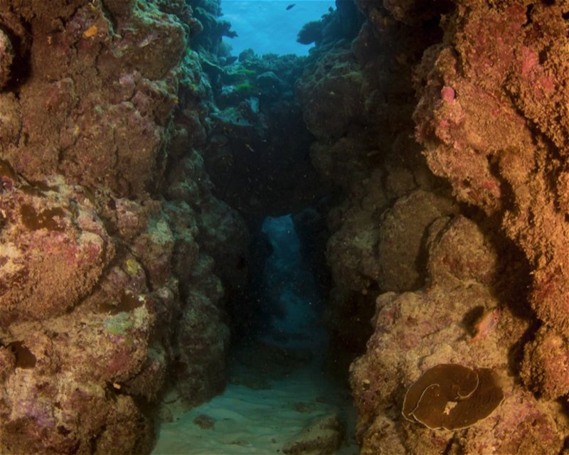 Divesite Image