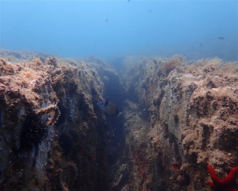 Divesite Image