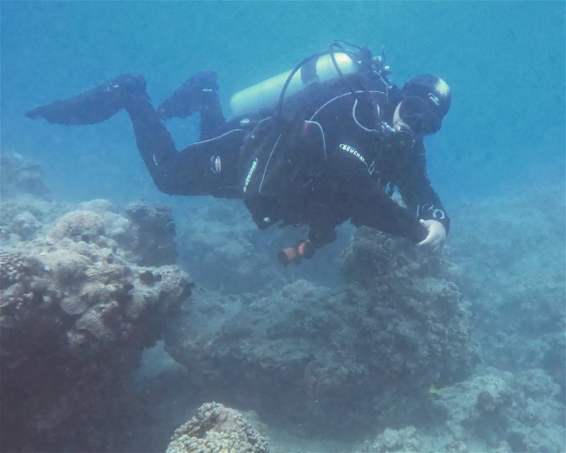 Divesite Image