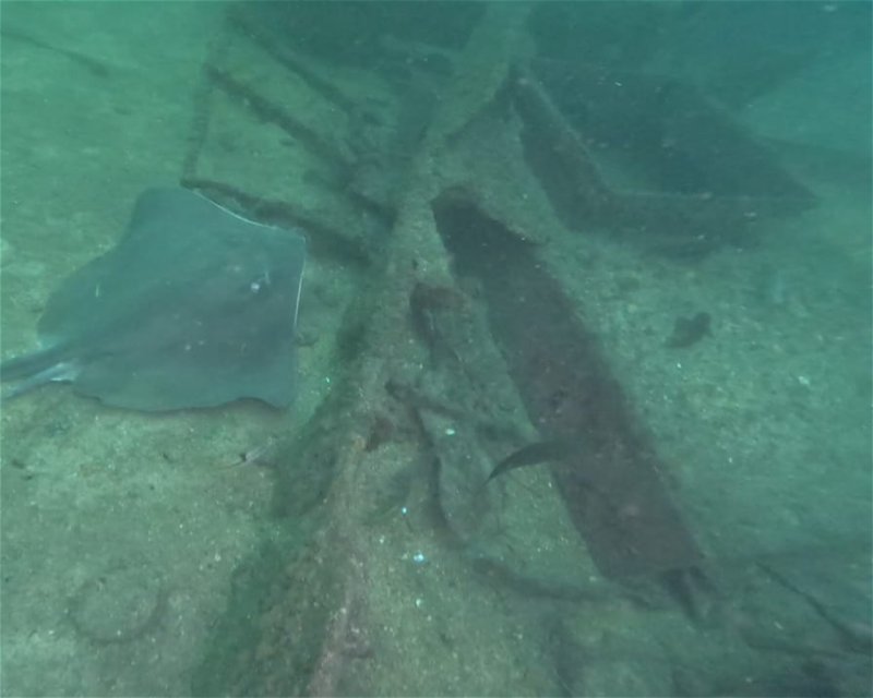 Divesite Image
