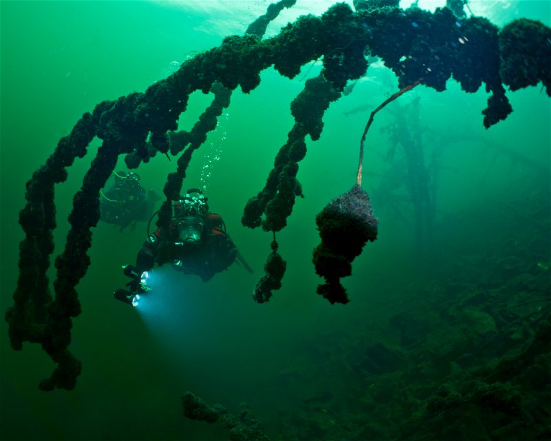 Divesite Image