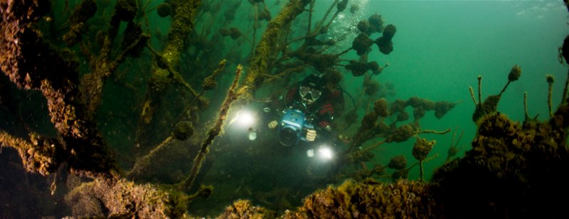 Divesite Image