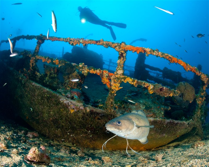 Divesite Image