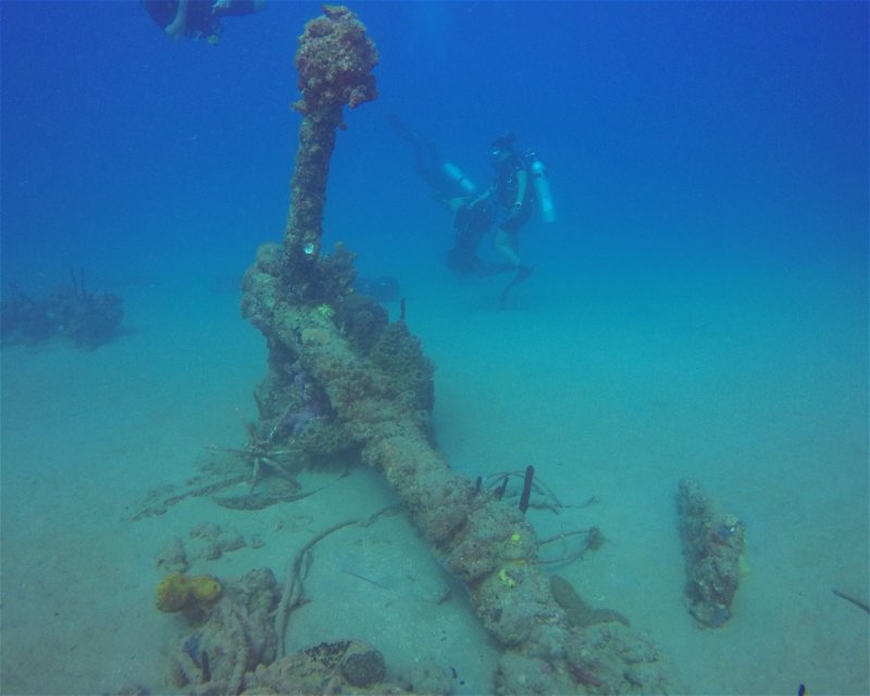Divesite Image