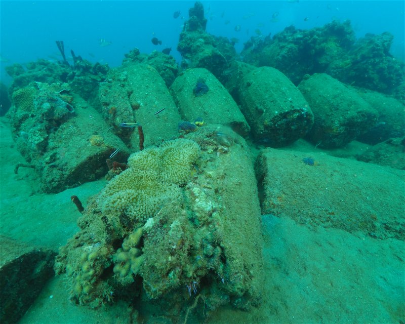Divesite Image