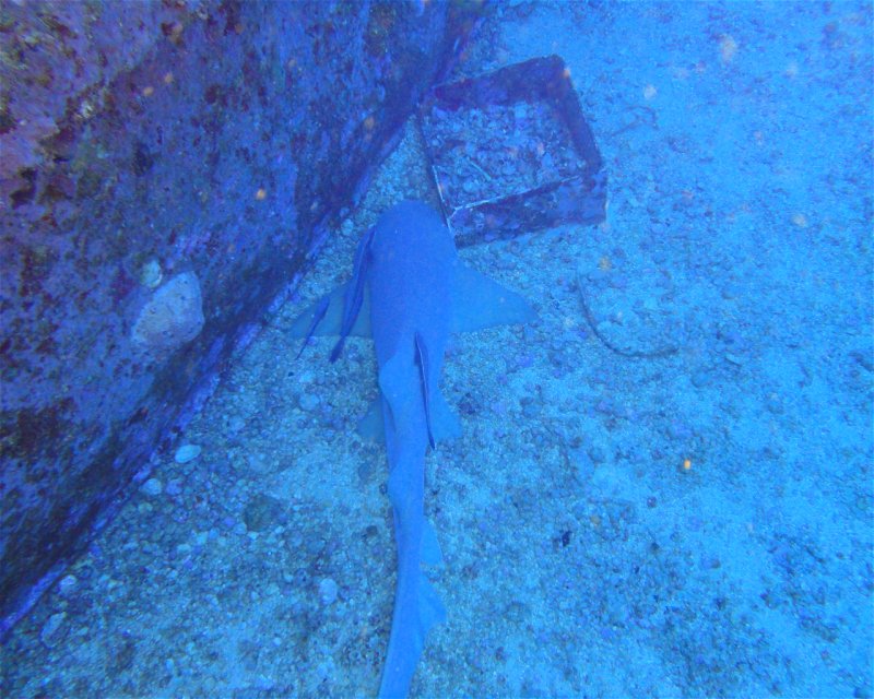 Divesite Image