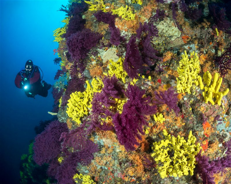 Divesite Image