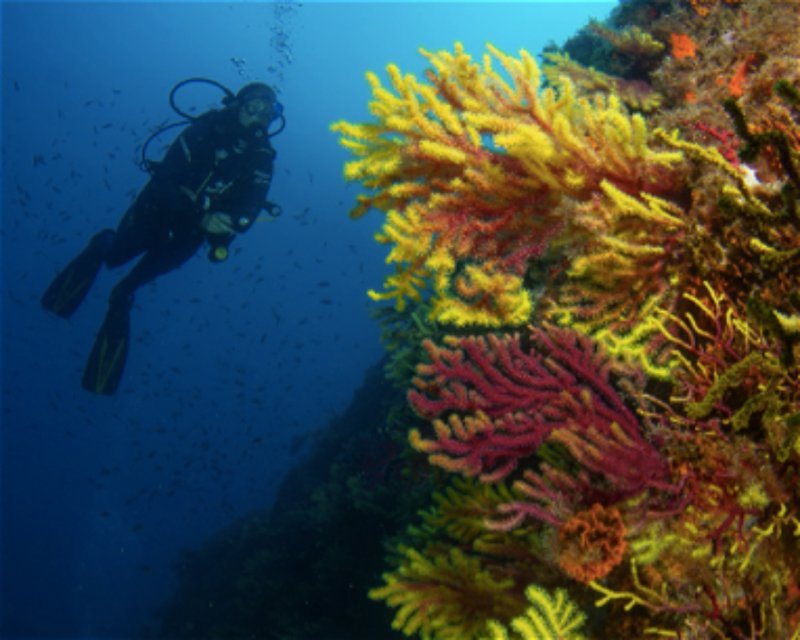 Divesite Image
