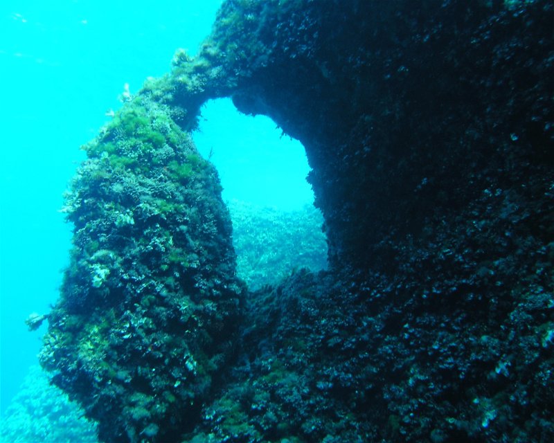 Divesite Image