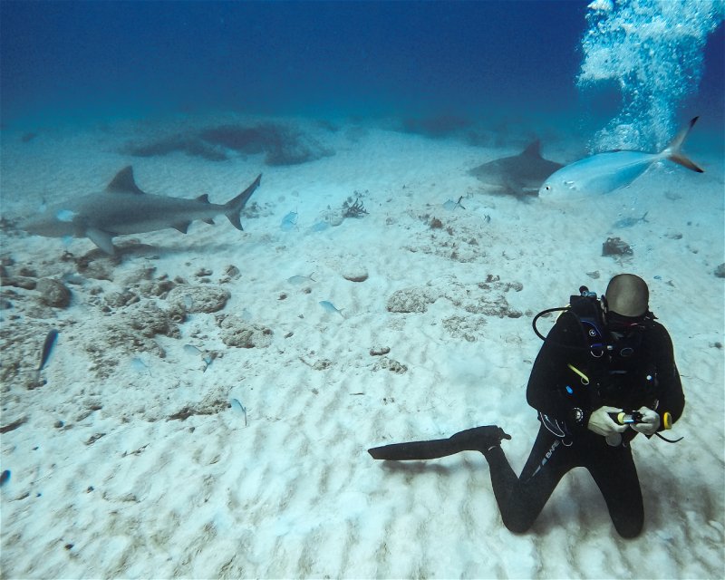 Divesite Image