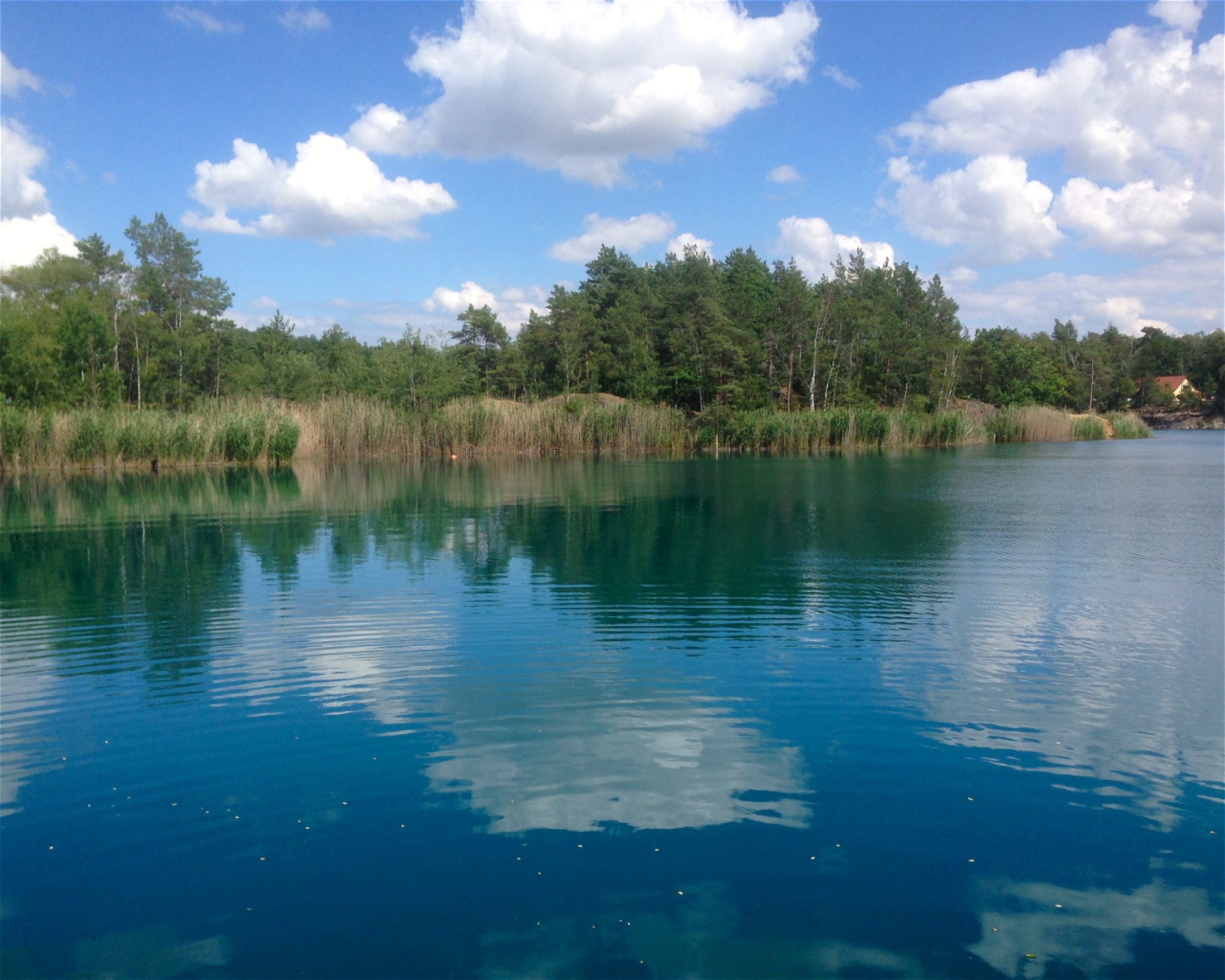Tauchsportcenter Wassermann, 39261 Zerbst