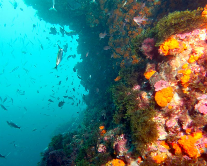 Divesite Image