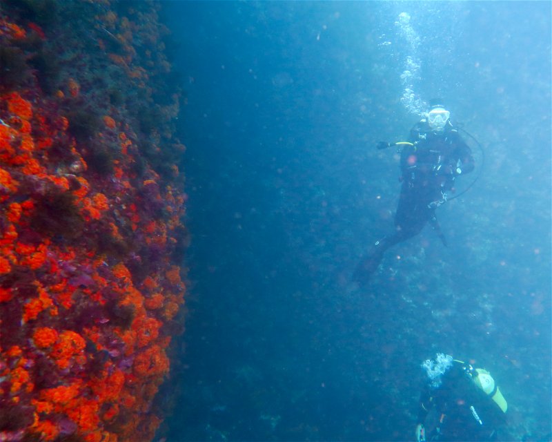 Divesite Image