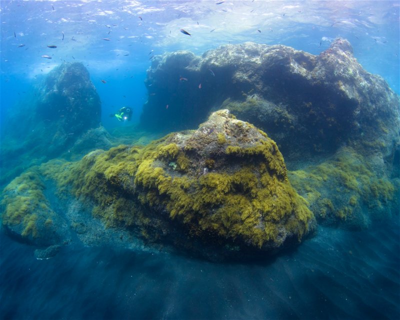 Divesite Image
