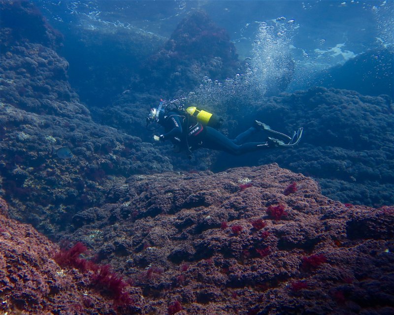 Divesite Image