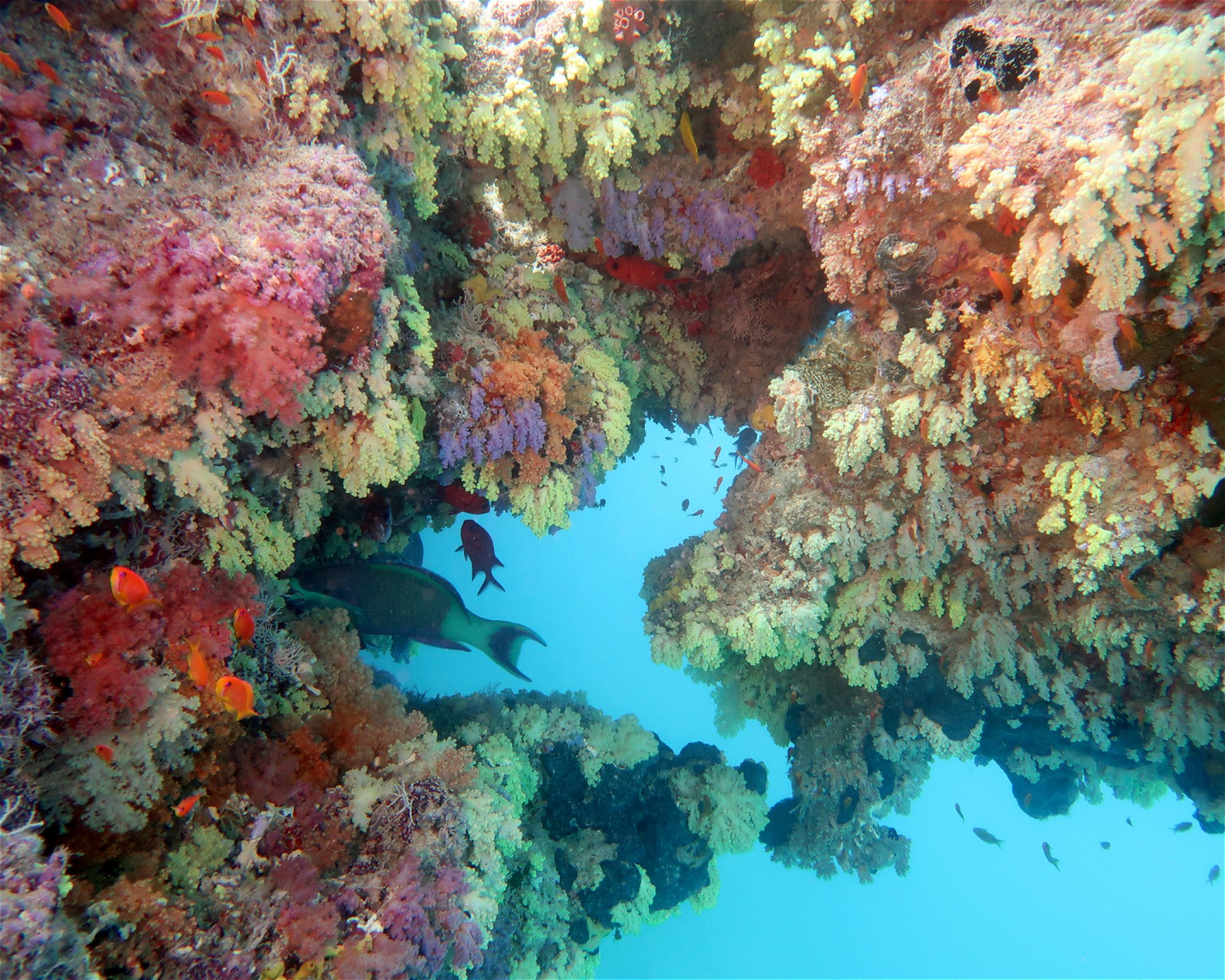 DivePoint Hudhuran Fushi, 20193 Male