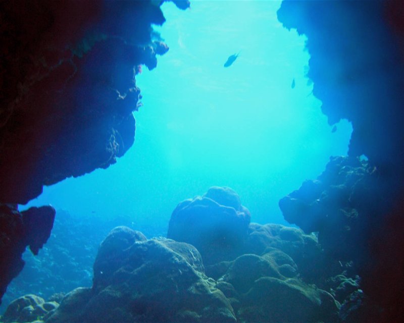 Divesite Image