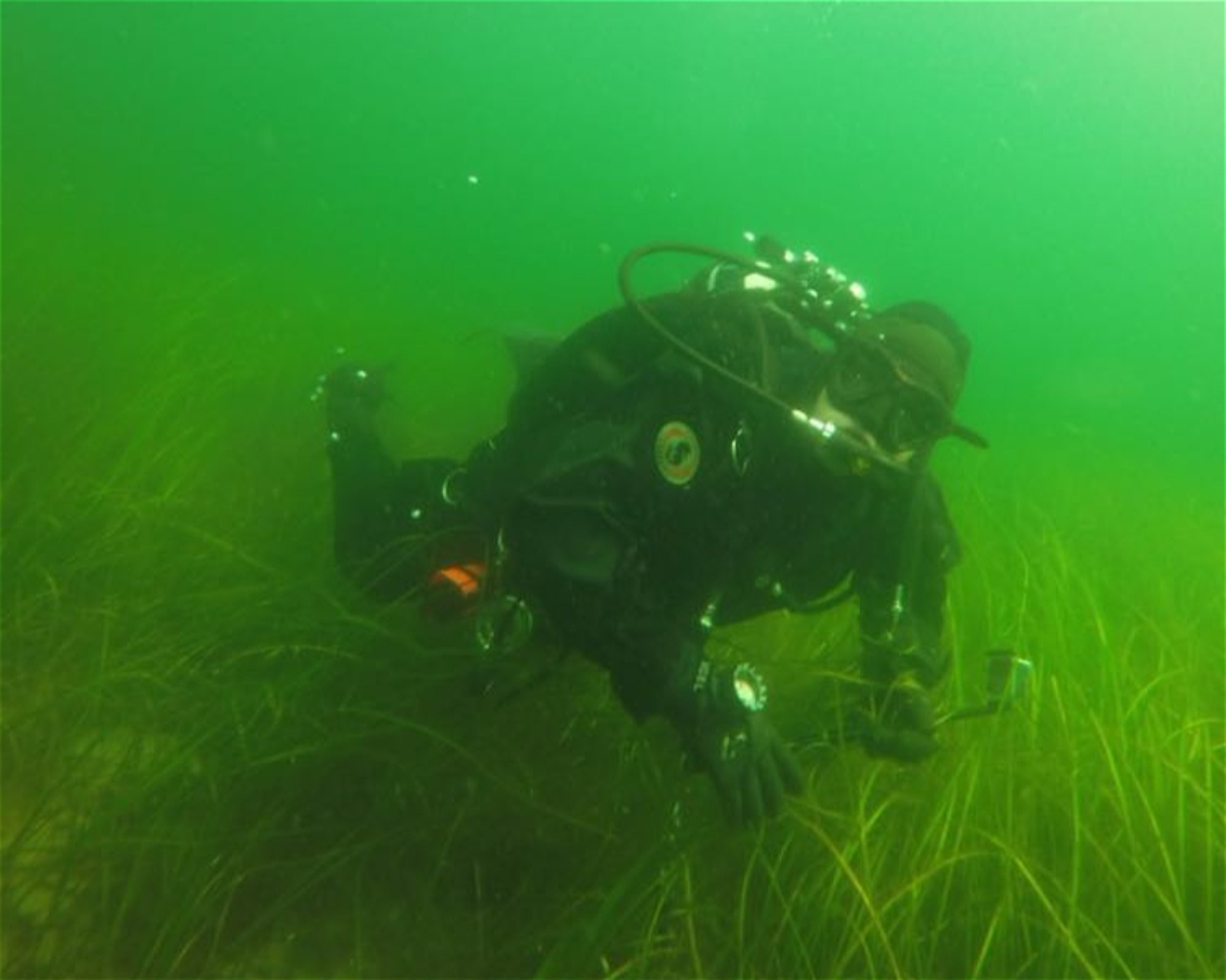 Diveteam Uetze, 31311 Uetze