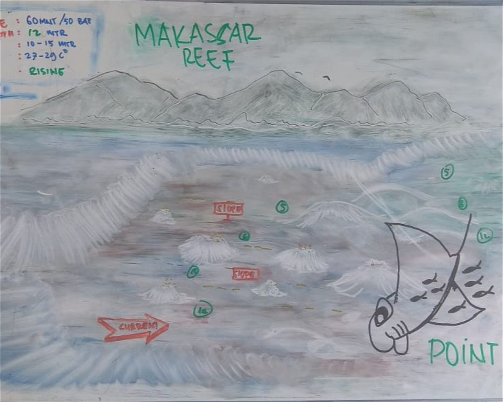 iDIVE Komodo, 86554 Labuan Bajo