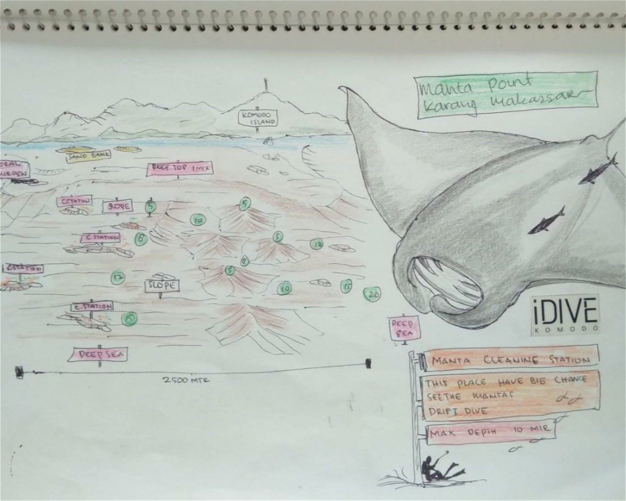 iDIVE Komodo, 86554 Labuan Bajo
