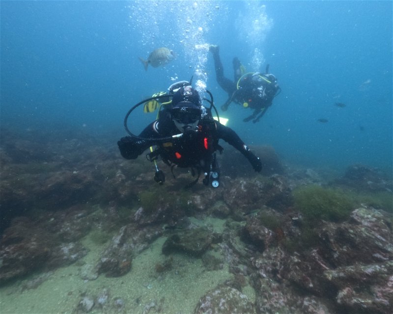 Divesite Image