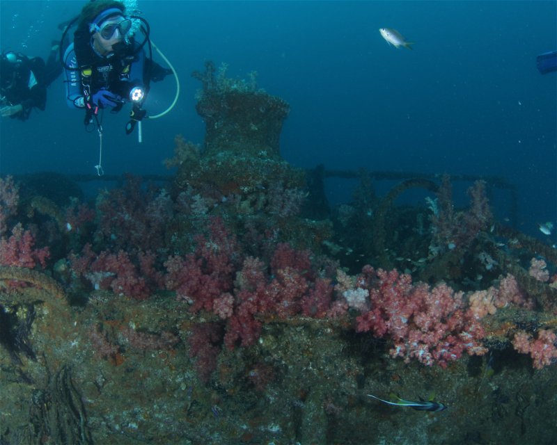 Divesite Image