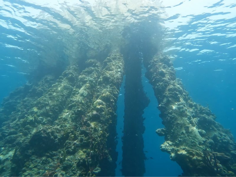 Divesite Image