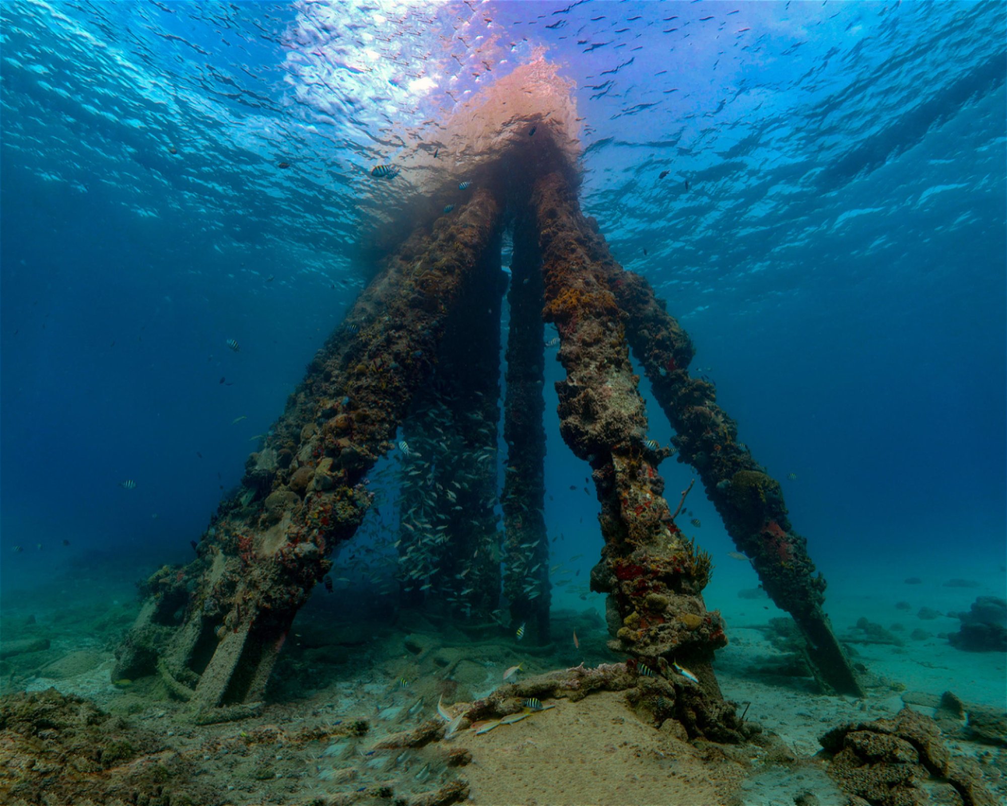 Nep2une Scuba Diving, 00840 Frederiksted