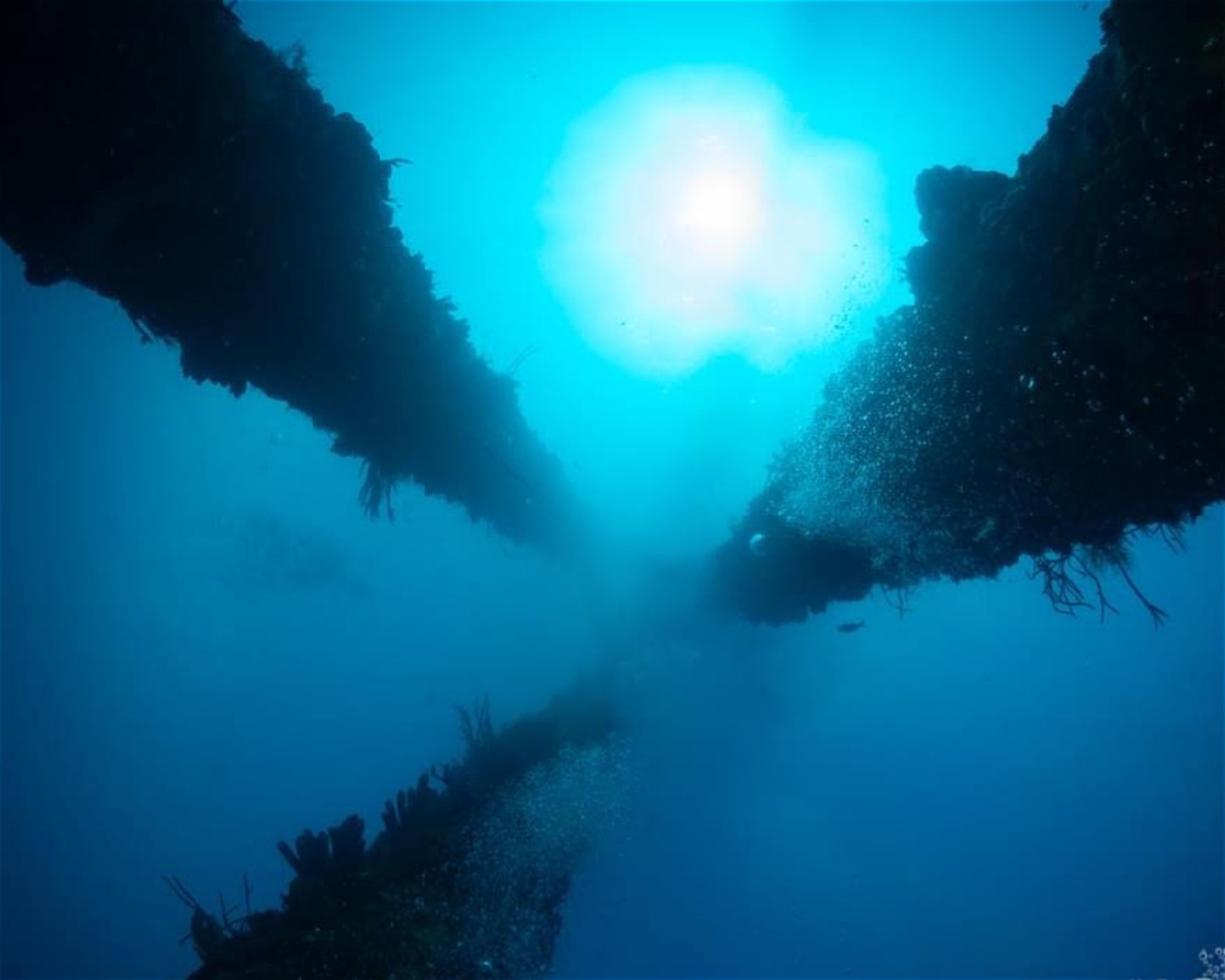 Nep2une Scuba Diving, 00840 Frederiksted