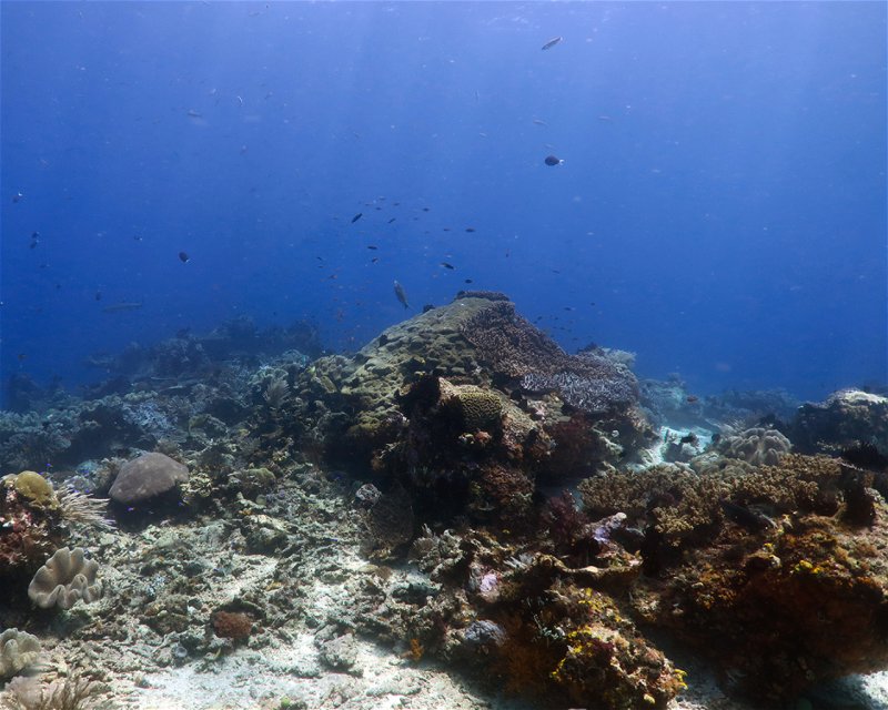 Divesite Image