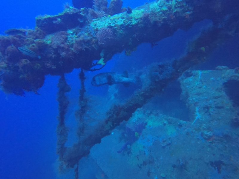 Divesite Image