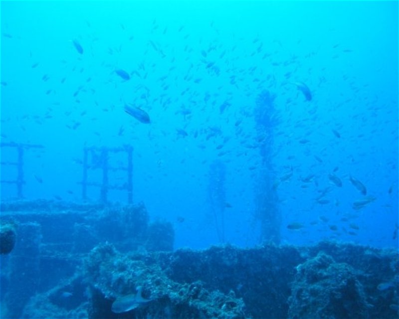 Divesite Image