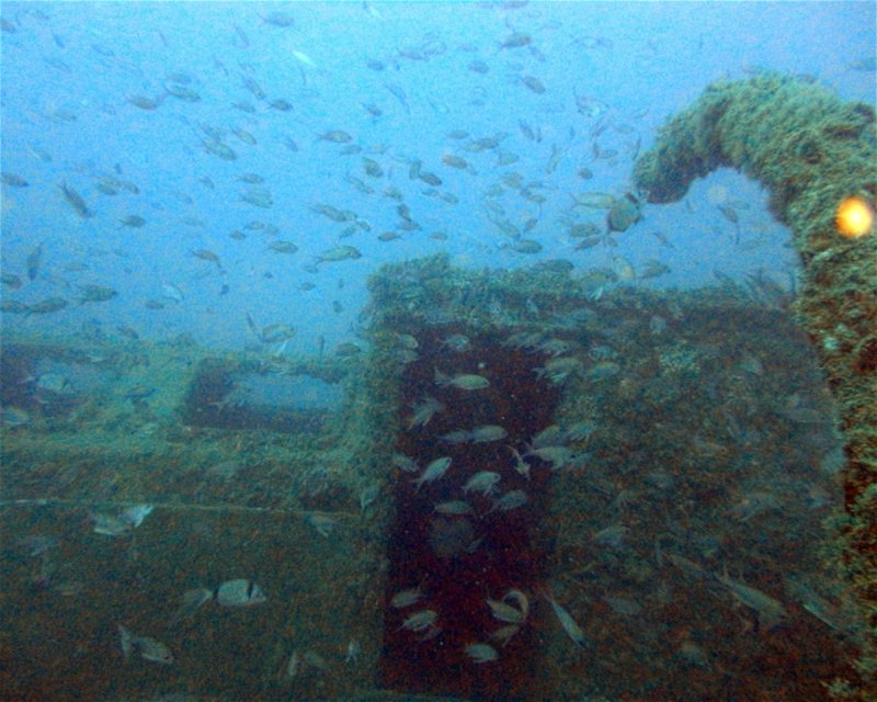 Divesite Image