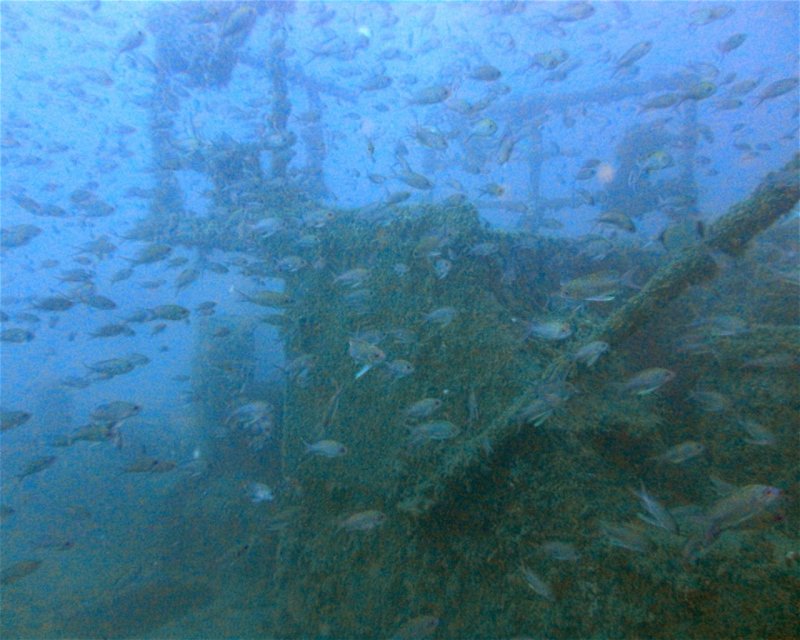 Divesite Image