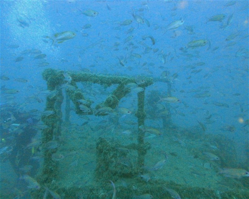 Divesite Image