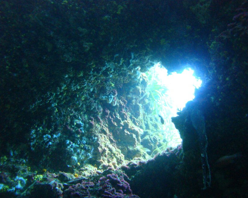 Divesite Image