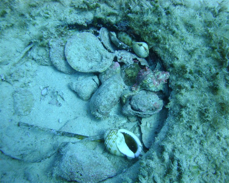 Divesite Image
