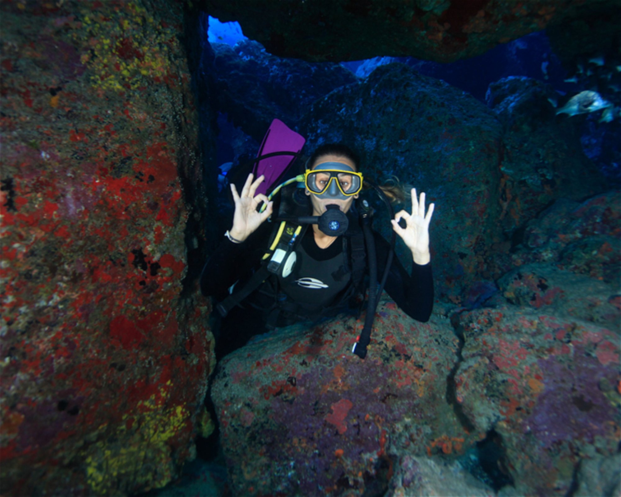 CNM DIVE, 13211-698 JUNDIAI