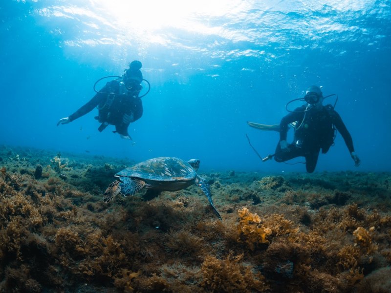 Divesite Image
