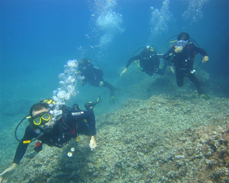 Divesite Image