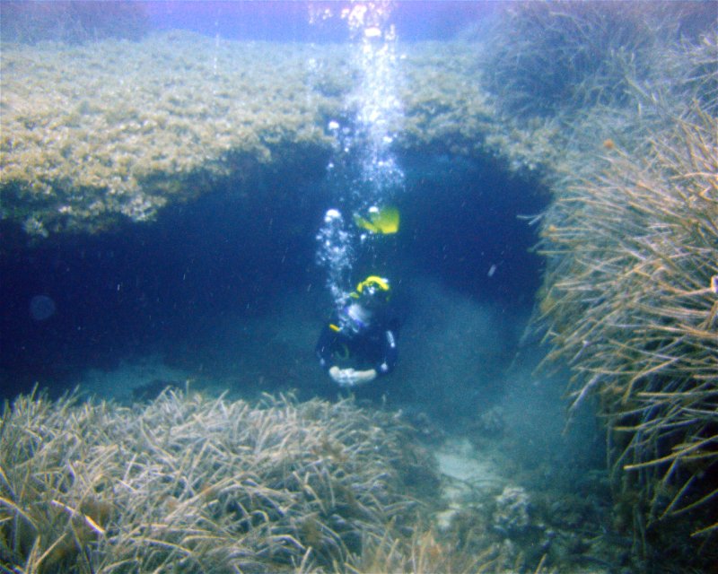 Divesite Image
