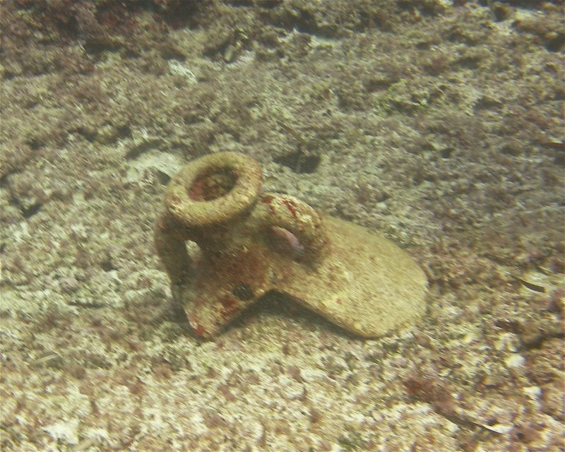 Divesite Image