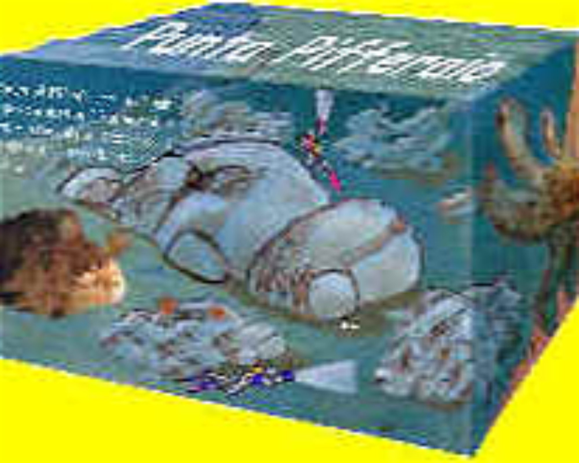 DIVING CENTER SERVICE NEREO SUB, 17028 SPOTORNO