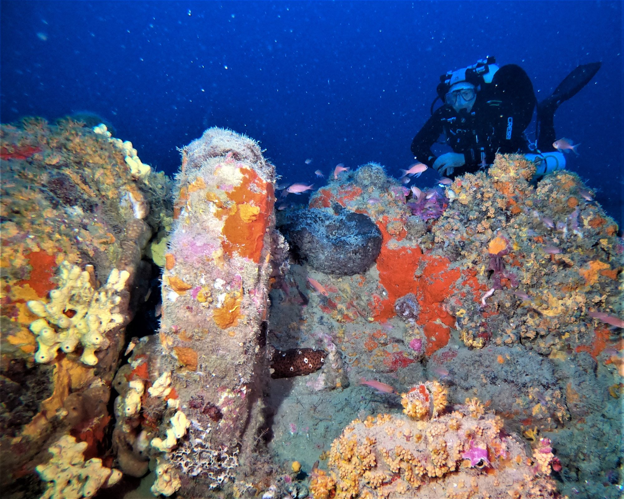DIVING CENTER SERVICE NEREO SUB, 17028 SPOTORNO