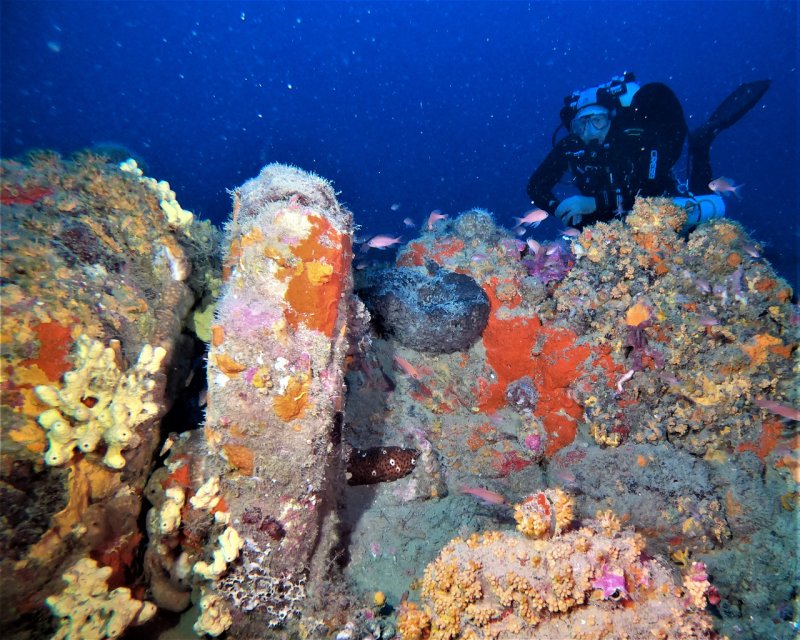 Divesite Image