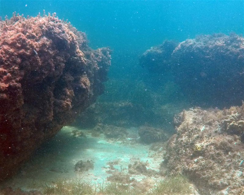 Divesite Image