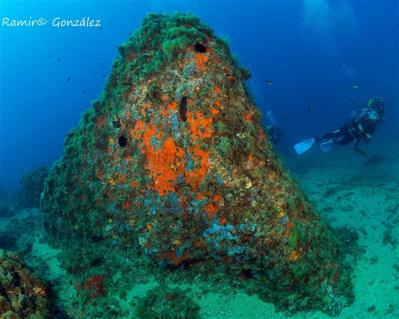 Divesite Image