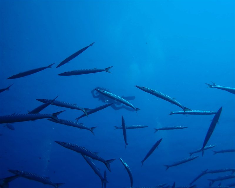 Divesite Image