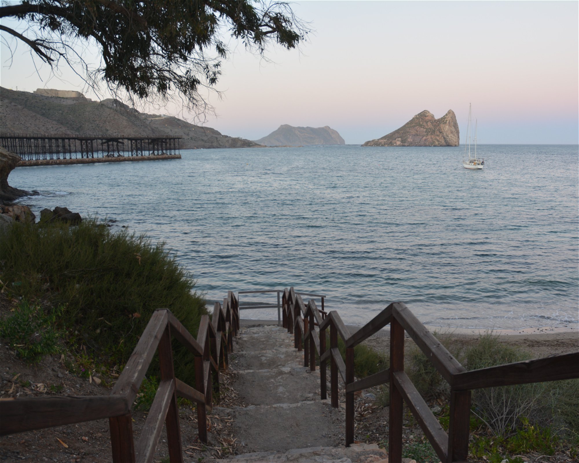 BUCEO ESTELA, 30880 Aguilas