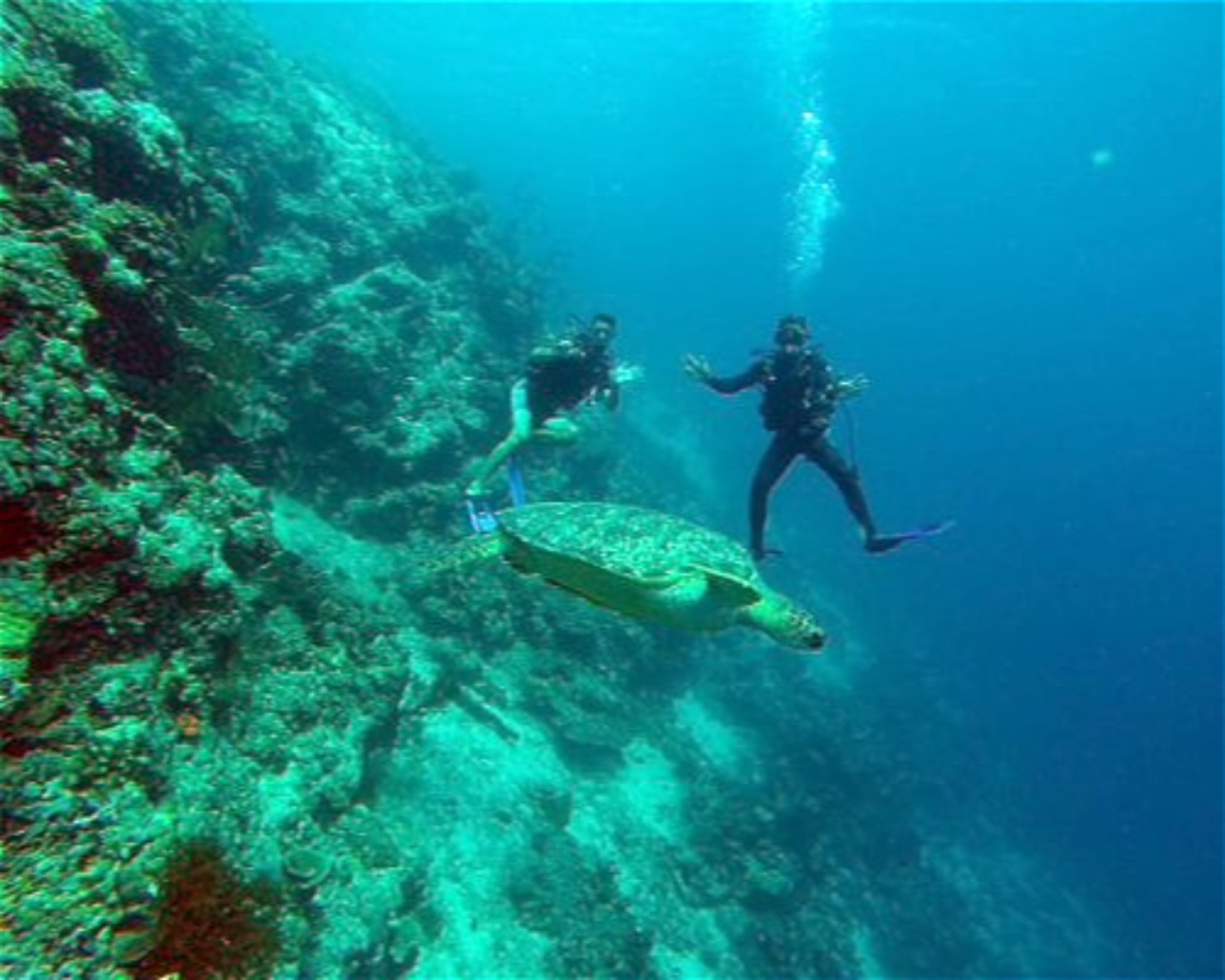 OCEAN DREAMS Pemuteran, 81155 Pemuteran